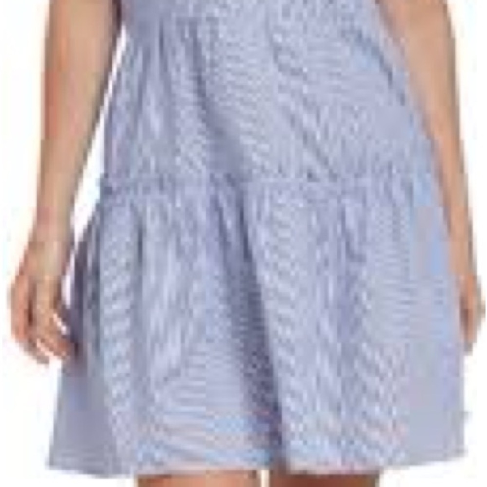 NAIF Anthropologie Blue and White Striped Mini Dress